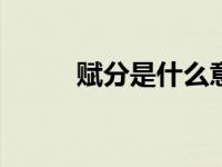 赋分是什么意思（ff是什么意思）