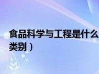 食品科学与工程是什么专业（食品科学与工程属于什么专业类别）