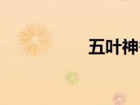 五叶神香烟（五叶神）