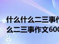 什么什么二三事作文600字初一记人（什么什么二三事作文600）