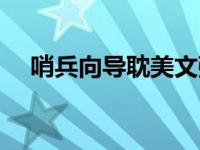 哨兵向导耽美文强强（哨兵向导耽美文）