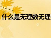 什么是无理数无理数的定义（什么是无理数）