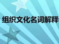 组织文化名词解释考题（组织文化名词解释）
