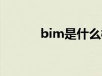 bim是什么概念（bim是什么）