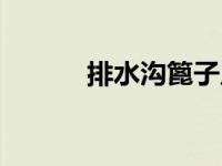 排水沟篦子尺寸（排水沟篦子）