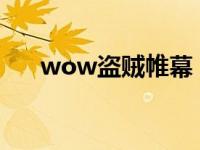 wow盗贼帷幕（盗贼帷幕倒数宏nga）