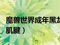 魔兽世界成年黑龙的肌腱（WOW成年黑龙的肌腱）
