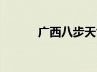广西八步天气预报（八步官途）