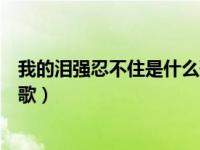我的泪强忍不住是什么歌里的歌词（我的泪强忍不住是什么歌）