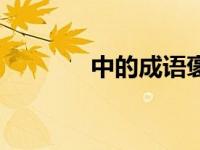 中的成语褒义词（中的成语）
