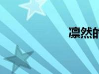 凛然的成语（凛然）