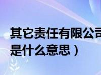 其它责任有限公司是什么意思（责任有限公司是什么意思）