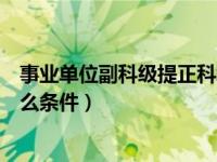 事业单位副科级提正科级条件（事业单位提拔副科级需要什么条件）
