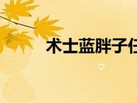 术士蓝胖子任务（ss蓝胖子任务）