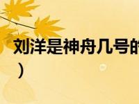 刘洋是神舟几号的飞行员（神舟宇航员刘洋死）