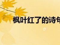 枫叶红了的诗句有（枫叶红了的诗句）