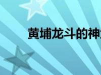 黄埔龙斗的神武灵军团（黄埔龙斗）