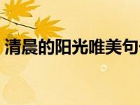 清晨的阳光唯美句子（描写阴天的优美句子）