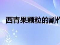 西青果颗粒的副作用及禁忌（西青果颗粒）