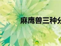 麻鹰兽三种分支进化图（麻鹰兽）