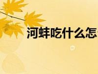 河蚌吃什么怎么家养（河蚌怎么养）