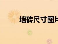 墙砖尺寸图片和价格（墙砖尺寸）