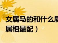 女属马的和什么属相最配婚（女属马的和什么属相最配）