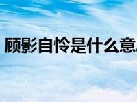 顾影自怜是什么意思（孤芳自赏是什么意思）