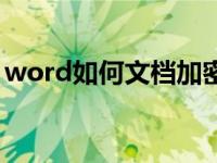 word如何文档加密（怎样给word文档加密）