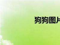 狗狗图片（狗狗和人日）
