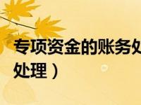 专项资金的账务处理小企业（专项资金的账务处理）
