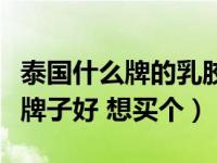 泰国什么牌的乳胶床垫好（泰国乳胶床垫哪个牌子好 想买个）