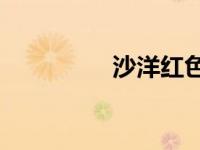沙洋红色e校（红色e校）
