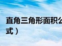 直角三角形面积公式斜边（直角三角形面积公式）