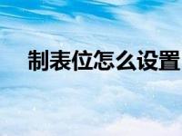 制表位怎么设置目录（制表位怎么设置）