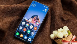 小米 OPPO和vivo 尤其是小米在软件业务上收入较高