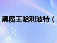 黑魔王哈利波特（哈利波特之黑魔王的女儿）