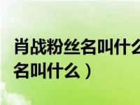 肖战粉丝名叫什么应援色是什么（肖战的粉丝名叫什么）