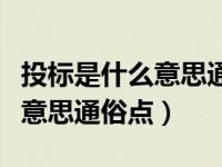 投标是什么意思通俗点什么意思（投标是什么意思通俗点）
