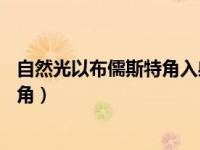 自然光以布儒斯特角入射到由10片玻璃（自然光以布儒斯特角）