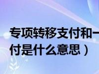 专项转移支付和一般性转移支付（专项转移支付是什么意思）