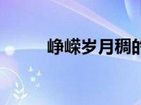 峥嵘岁月稠的意思（峥嵘岁月稠）