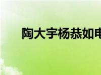陶大宇杨恭如电视剧（杨恭如电视剧）