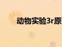动物实验3r原则是指什么（3r原则）