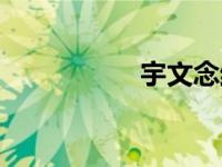 宇文念结局（宇文念）
