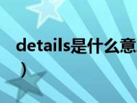 details是什么意思中文（details是什么意思）