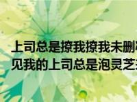 上司总是撩我撩我未删减（灵芝泡水喝功效与作用是什么 我见我的上司总是泡灵芝来喝 这）