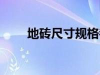 地砖尺寸规格都有哪些（地砖尺寸）