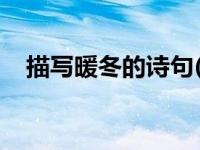 描写暖冬的诗句(新韵（描写暖冬的诗句）