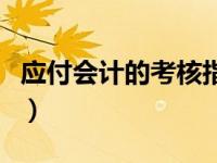 应付会计的考核指标（应付会计绩效考核内容）
